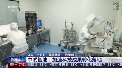 一线见闻丨顺藤摸瓜 深圳科创青藤体系，如何赋能硬科技转化？